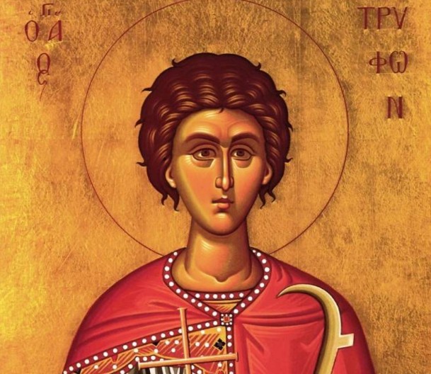 Danas je Sveti Trifun, pretpraznik Sretenja Gospodnjeg