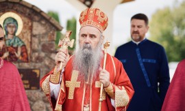 SRBI I PARTIJE SABORNOST I PODJELE