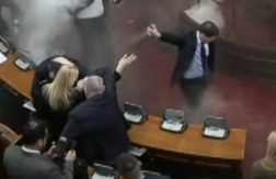 Miloš Jovanović biber sprejom napao trudnu poslanicu SNS-a