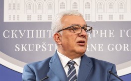 MANDIĆ Srpski jezik ne može Ustavom biti tretiran kao jezik drugog reda