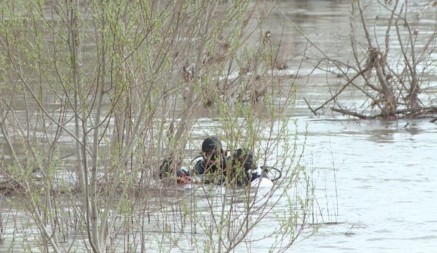 Nastavljena se potraga za Podgoričankom i njenim maloljetnim djetetom