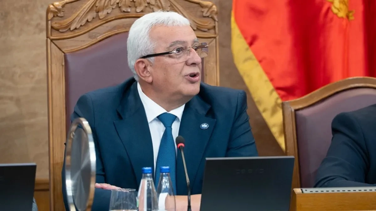 Nikolić: Bez DNP-a nema smjene Mandića