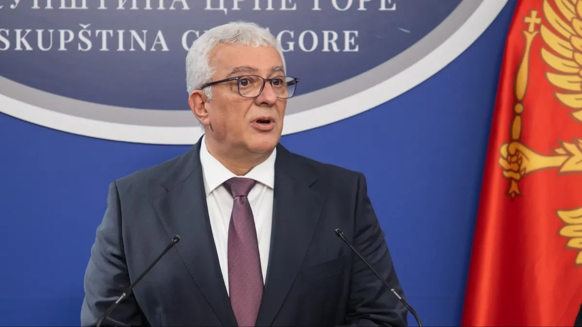 Otvoreno pismo Mandiću: Zašto ste glasali za formulaciju o „nasilnoj aneksiji” Crne Gore
