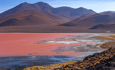 MISTERIOZNA POJAVA Jezera u Argentini ružičaste boje, ekolozi jako zabrinuti