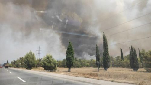 Veliki požar na ulazu u Podgoricu, vatrogasna služba tvrdi da je podmetnut