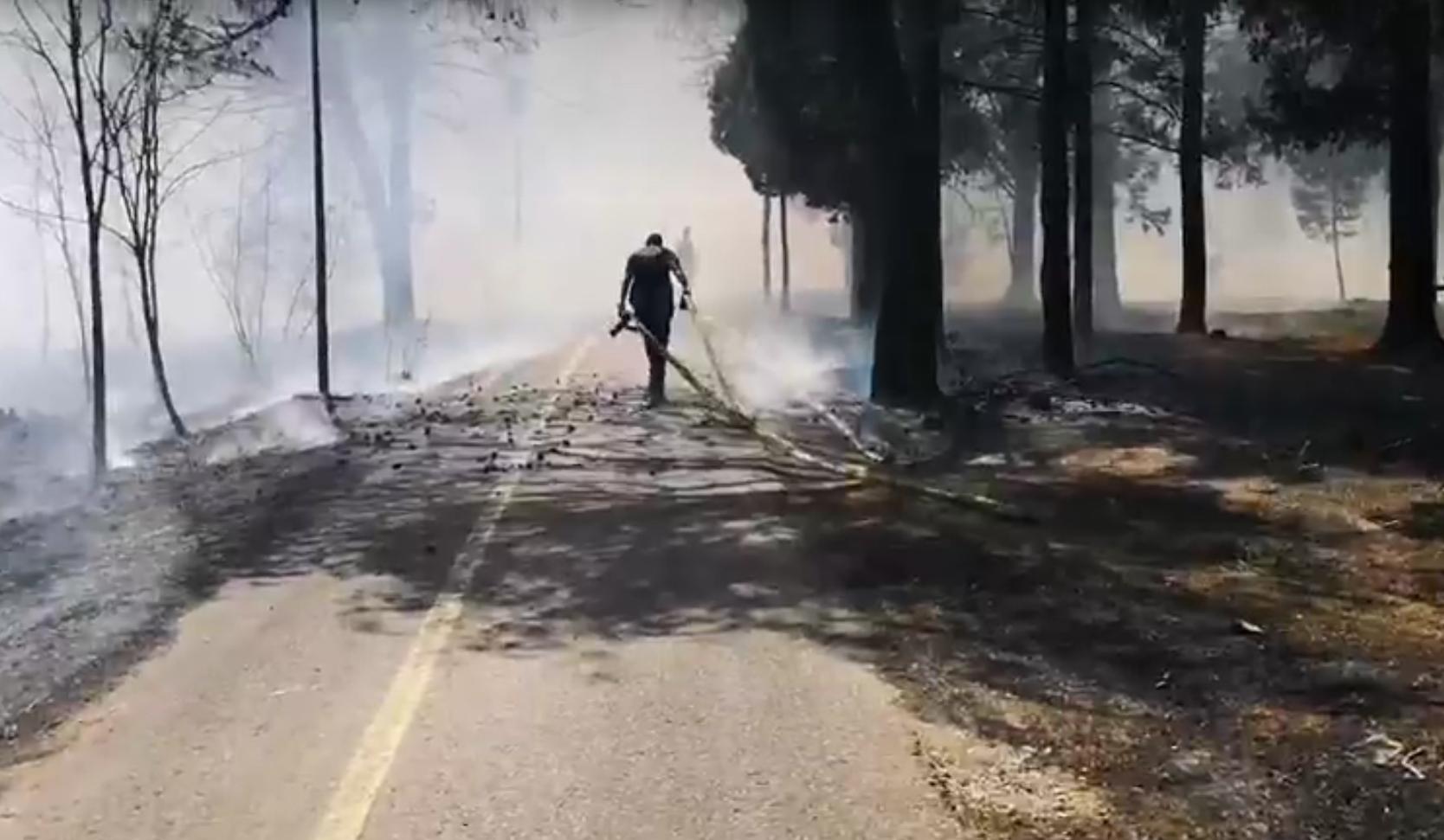 PONOVO AKTIVAN POŽAR NA GORICI! Nekoliko vatrogasnih ekipa pokušava da obuzda vatrenu stihiju koja guta sve pred sobom
