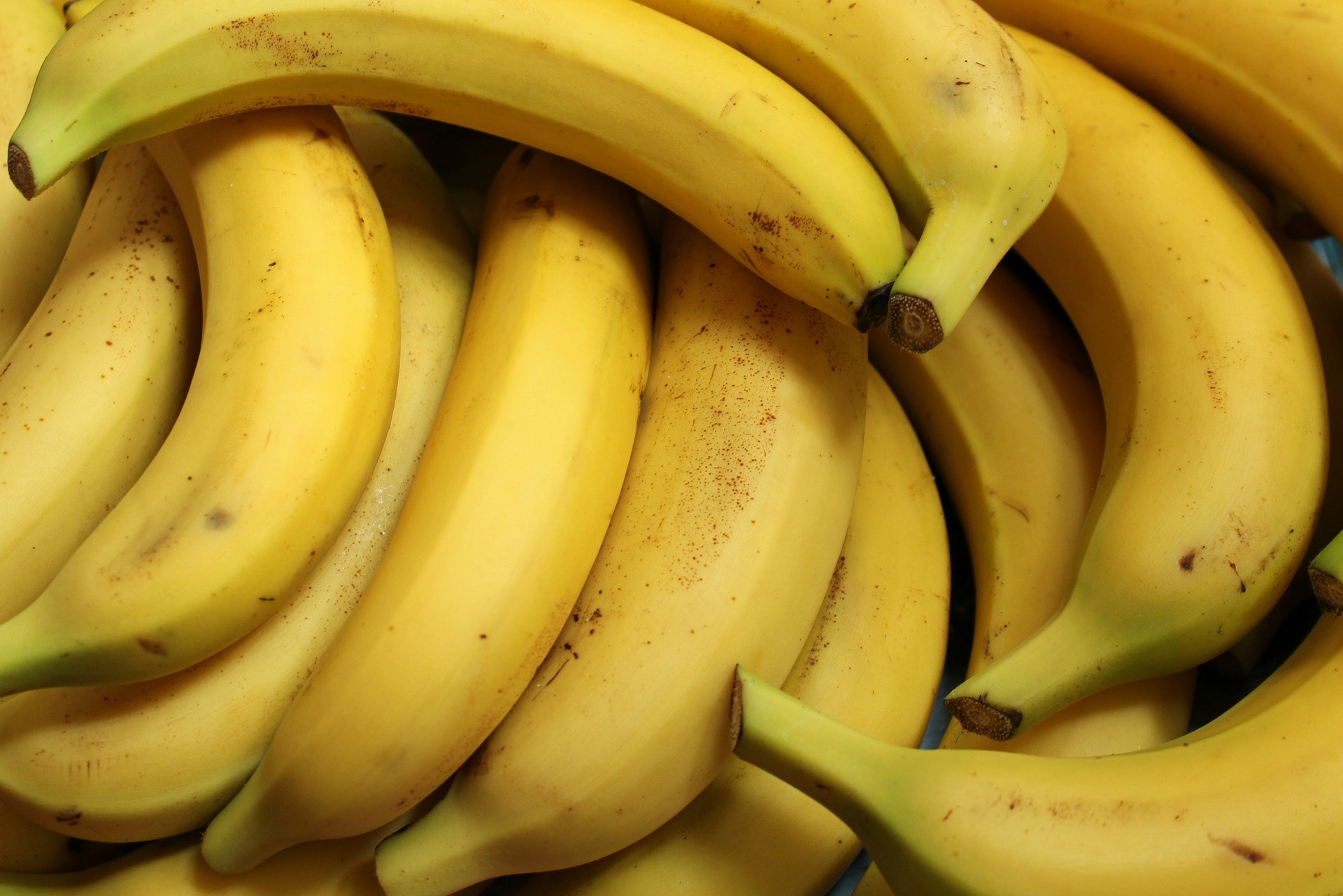 BOGATSTVO I ZDRAVLJE Da li banane utiču na rad crijeva?