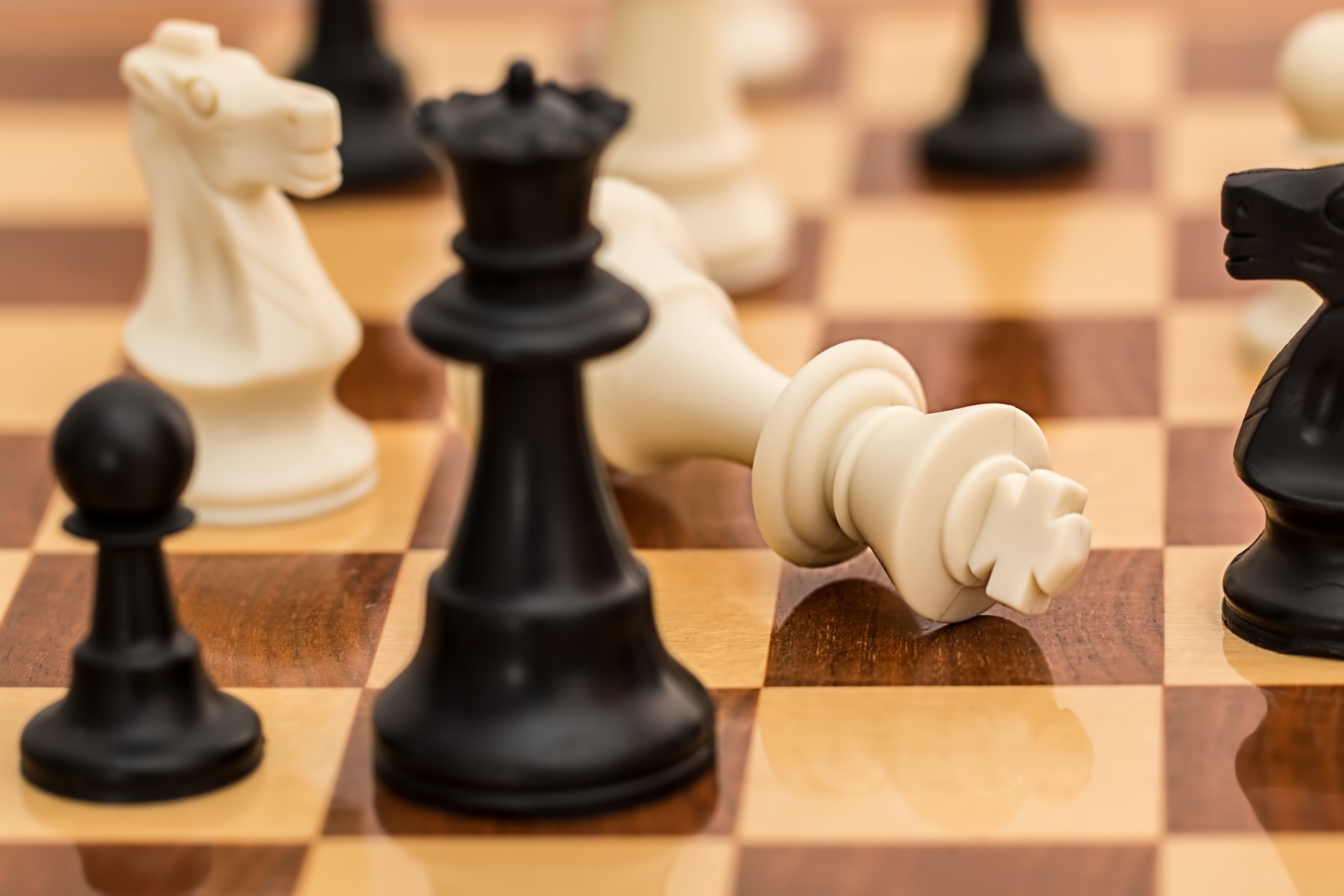 POPULARIZACIJA U CRNOJ GORI Osnovano udruženje šahovskih velemajstora