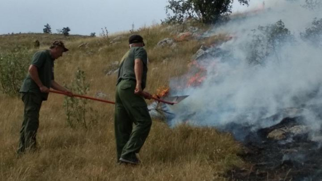 Požar u NP Durmitor još uvijek nije lokalizovan