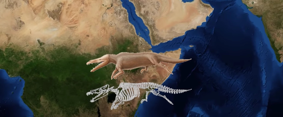 NOVO OTKRIĆE U Egiptu pronađen fosil nove vrste drevnog četvoronožnog kita