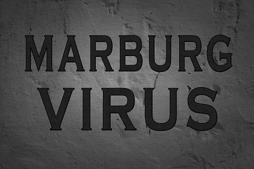 PRIJETI NOVI VIRUS U zapadnoj Africi potvrđen prvi slučaj zaraze visusom MARBURG