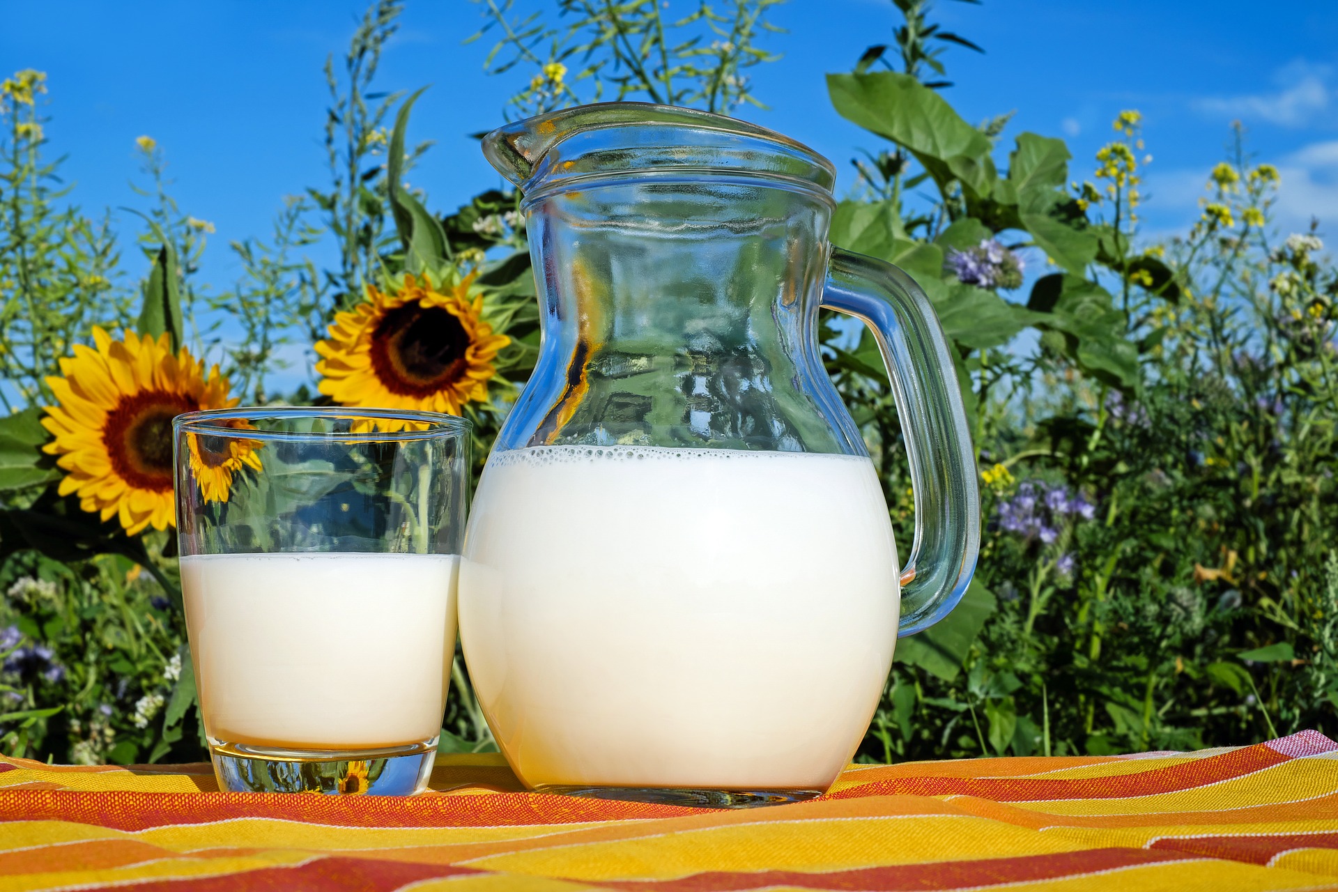PODACI MONSTATA: Otkupljeno manje mlijeka