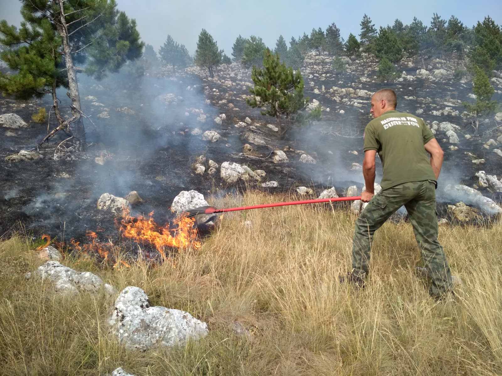 POŽARI NE PRESTAJU: Vatrogasci na izmaku snaga! Vatrena stihija zahvatila područje NP Durmitor