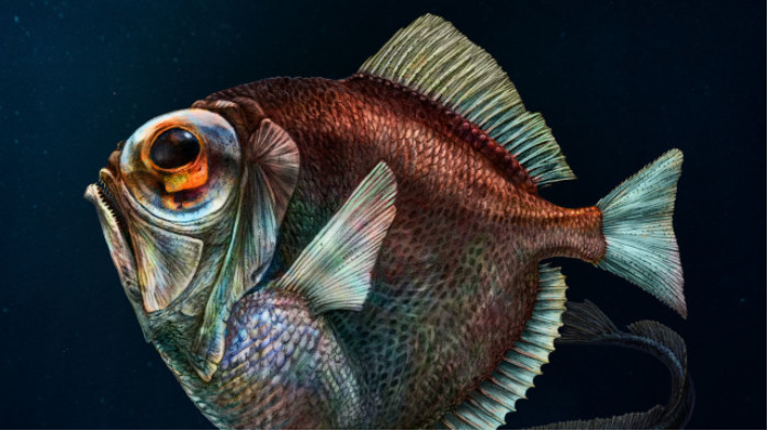 Kako su tajanstvene ribe u okeanu razvile “supermoći”