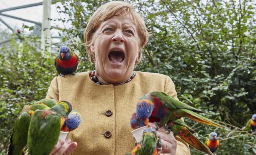 FOTOGRAFIJA KOJA JE OBIŠLA SVIJET! Njemačku kancelarku napao papagaj! Izraz njenog lica nikoga nije ostavio ravnodušnim