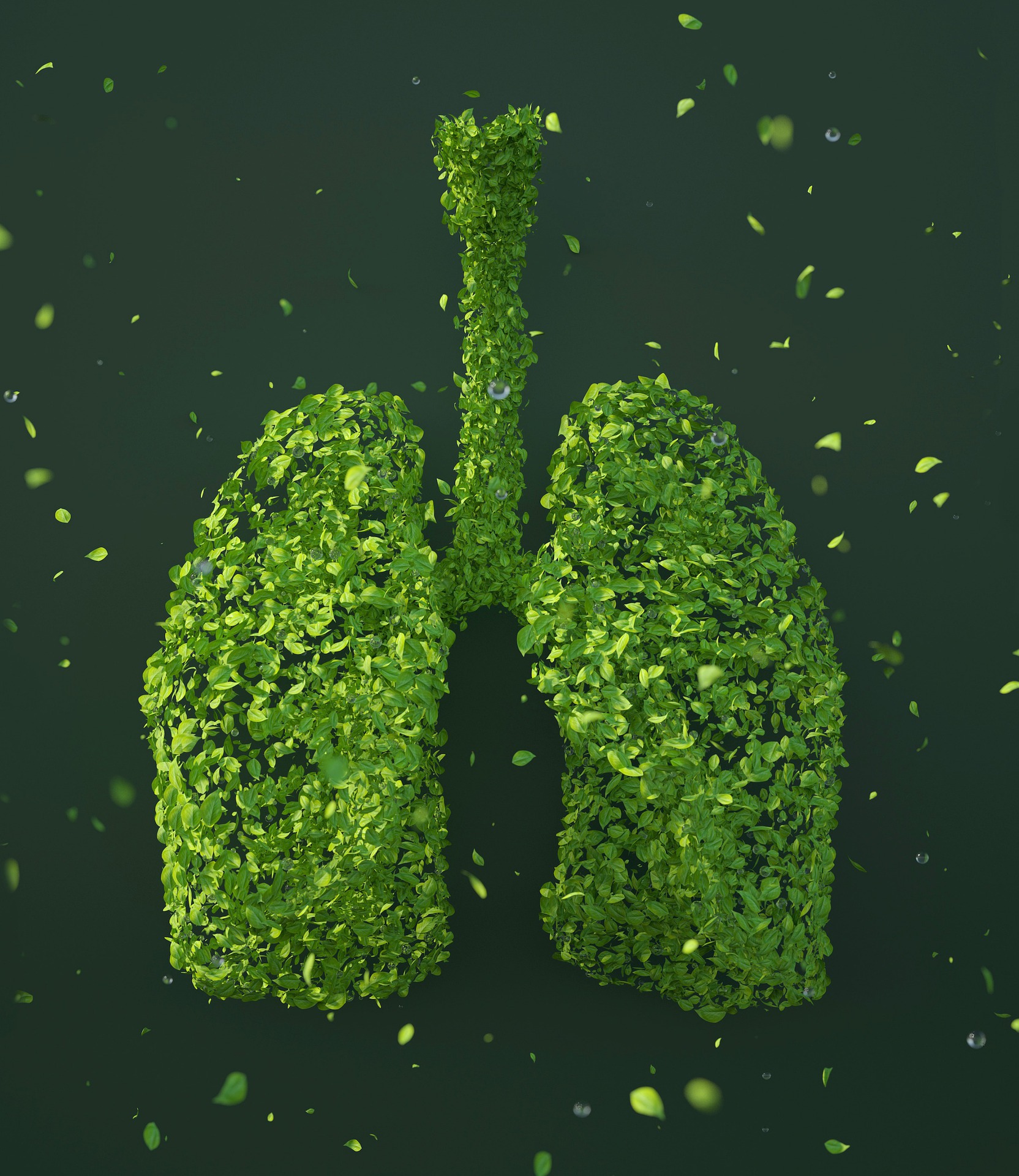 ČUDESNO PIĆE SA LJEKOVITIM SVOJSTVIMA: Napitak od tri biljke će vam očistiti pluća