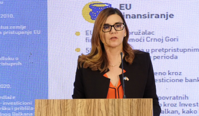 POPA: EU će pomoći Crnoj Gori u upravljanju sajber incidentima