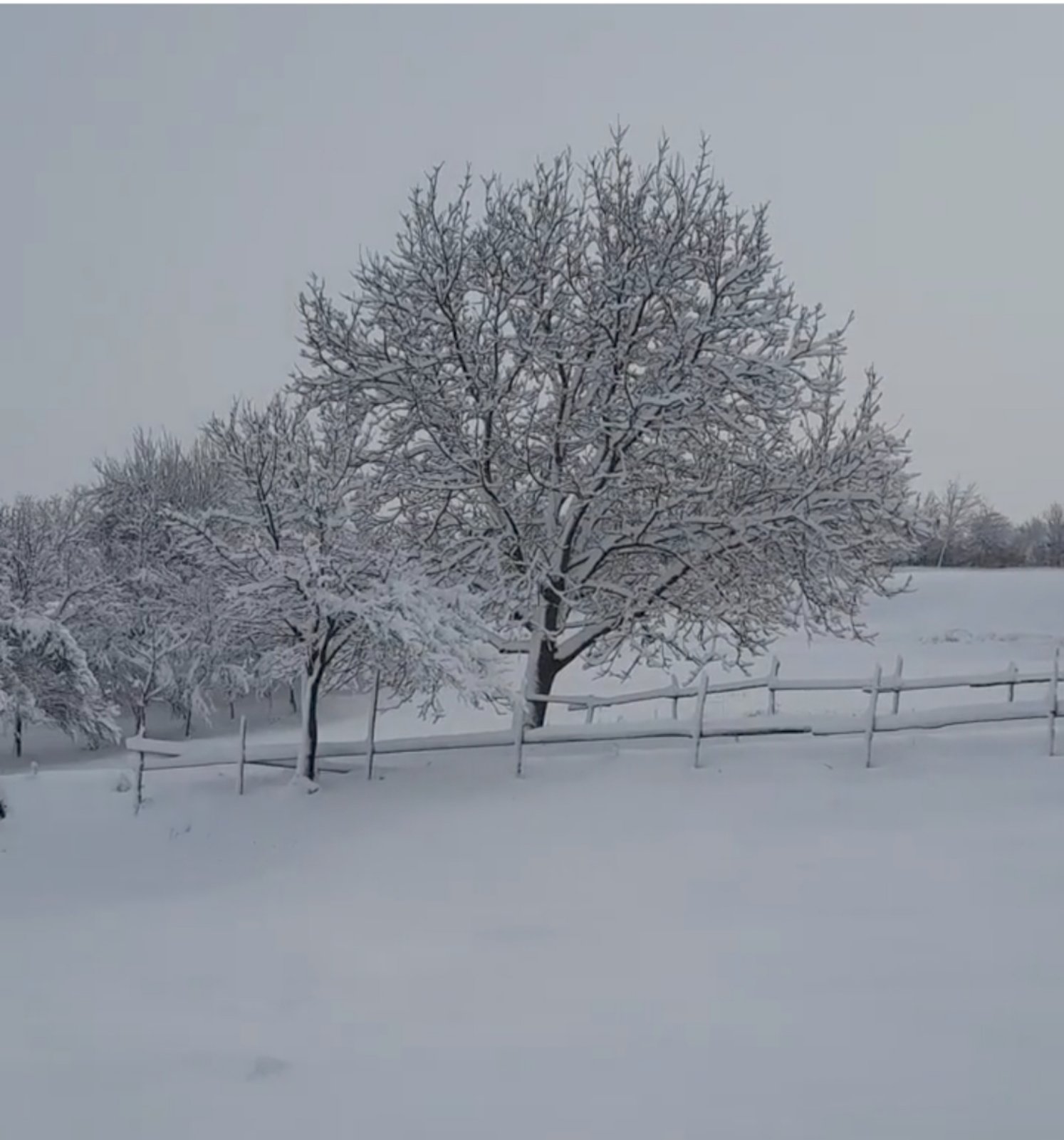OBIJELJELO U Sloveniji pao prvi snijeg