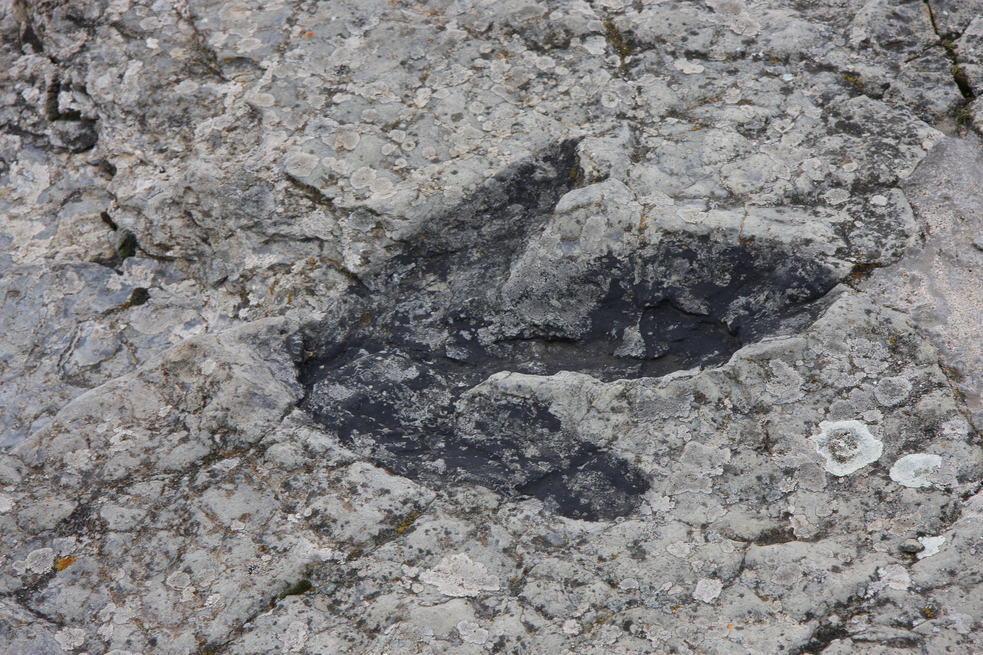VELIKO OTKRIĆE U VELSU Na plaži nađeni otisci stopala dinosaurusa stari 200 miliona godina (FOTO)