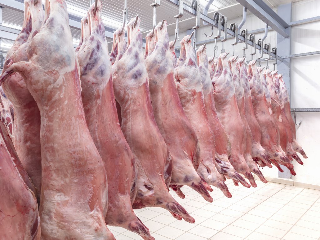 MESA IMA DOVOLJNO Uvoz svinjetine neometen