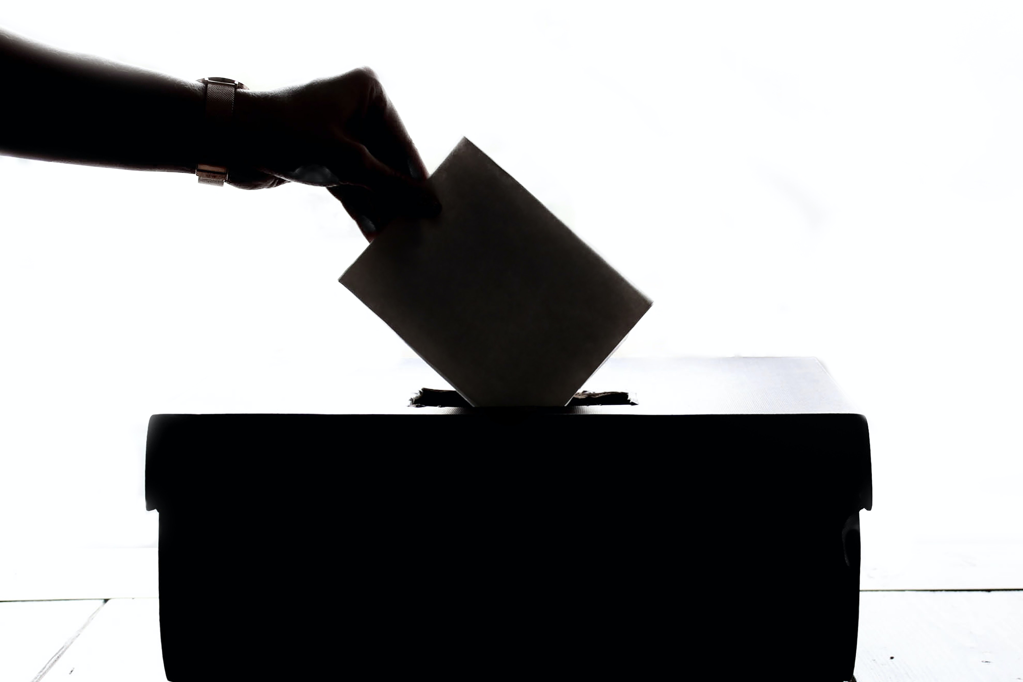 NOVI PRESJEK: U Podgorici do 12 časova glasalo 28, 7 odsto birača