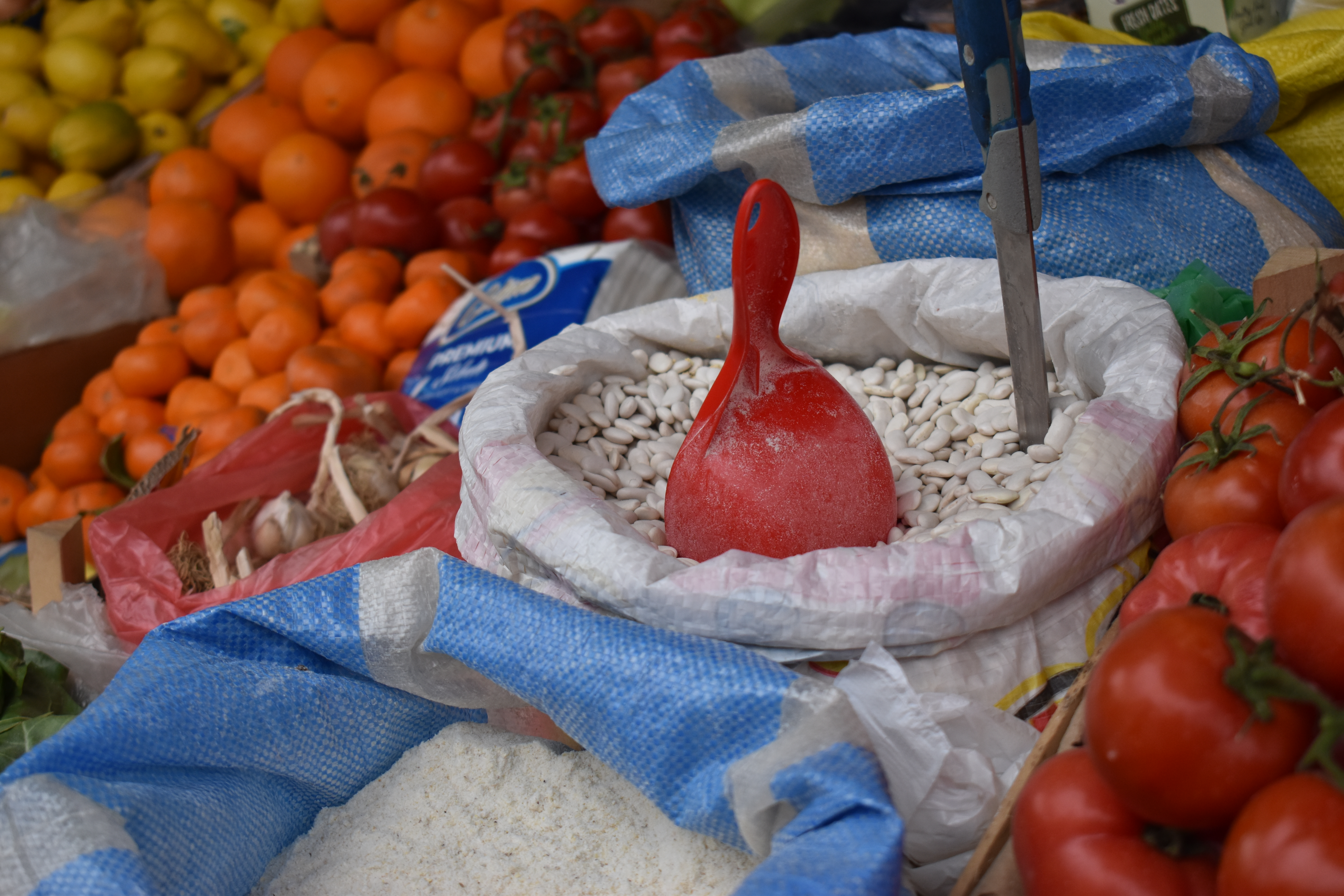 SPREMNI ZA IZVOZ: Pšenica iz Indije moguća alternativa za svjetsko tržište hranom