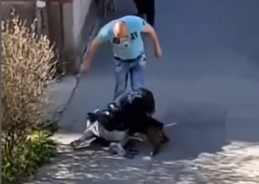 UZNEMIRUJUĆI VIDEO POTRESAO JAVNOST: Muškarac udarao ženu i šutirao njenog psa (VIDEO)