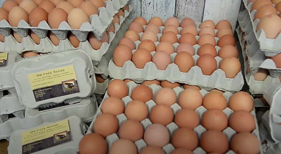 BRITANCI U PROBLEMU Kupci jaja bi se mogli naći pred praznim policama