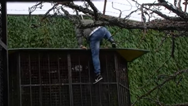 BEBICA POBJEGAO IZ ZADRUGE Nakon što je Miljana otkrila istinu, Nenad preskočio ogradu  (VIDEO)