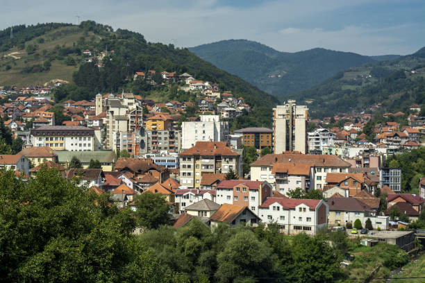 Crnogorski državljanin uhapšen zbog šverca kokaina