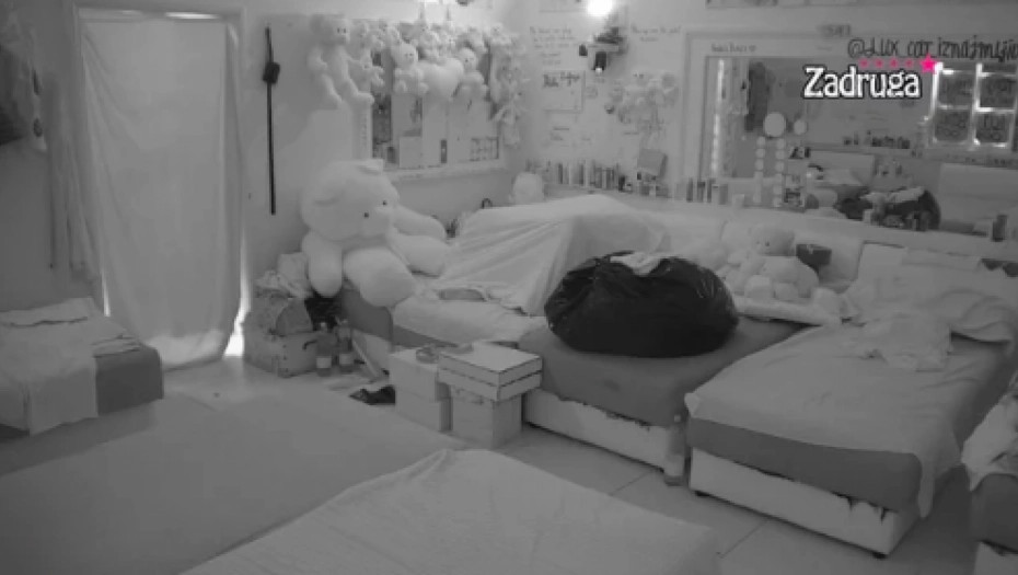 DALILA ORALNO ZADOVOLJAVALA FILIPA Zadrugari divljaju u prepunoj spavaćoj sobi, skandalozne scene se*sa u rijalitiju (VIDEO +18)