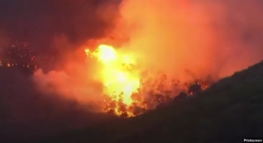 GORI 50 HEKTARA ŠUME Veliki šumski požar u Sjevernoj Makedoniji