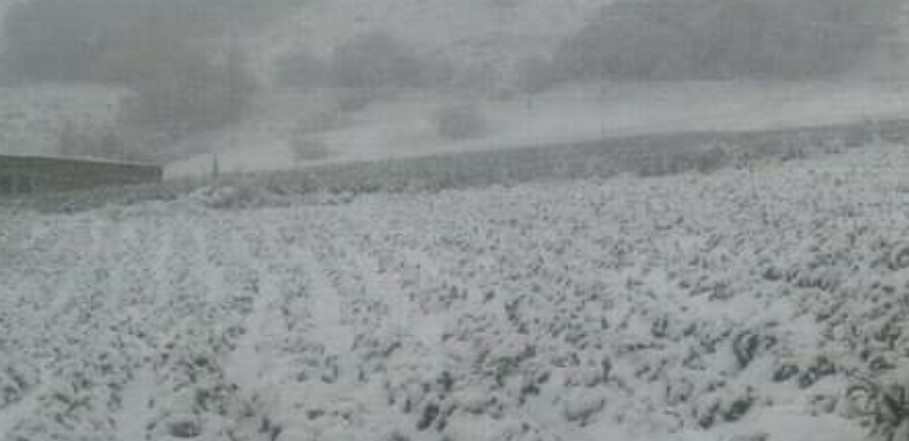 ČUDO NEVIĐENO Usred ljeta pao snijeg u centralnom Avganistanu (FOTO)