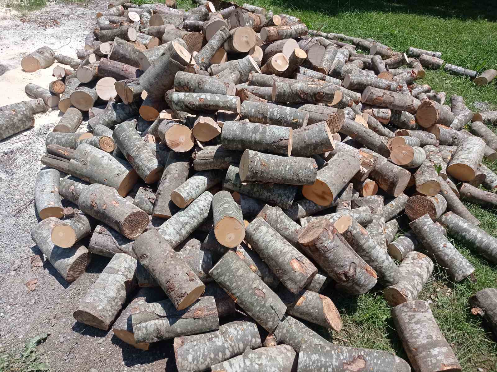 OZBILJAN UDARAC NA BUDŽET GRAĐANA Rekordne cijene drva za ogrijev