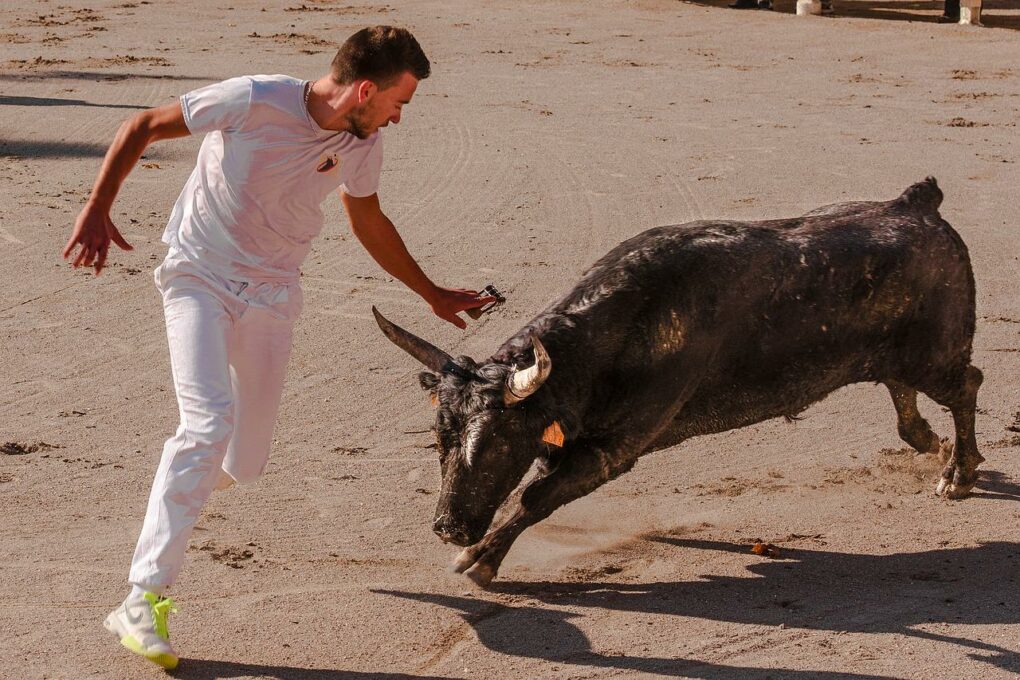 STRAVIČNA NESREĆA U ŠPANIJI Tri osobe umrle nakon trke s bikovima, povrijeđeno skoro 500
