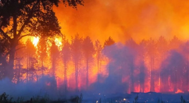 POSLIJE ŠEST DANA Veliki šumski požar u Valensiji stavljen pod kontrolu