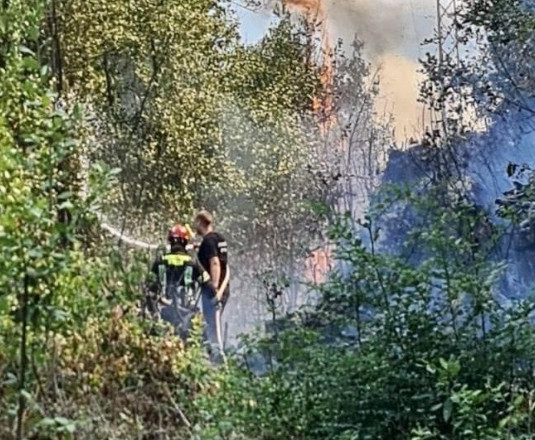Šumski požar na brdu Vrmac stavljen pod kontrolu