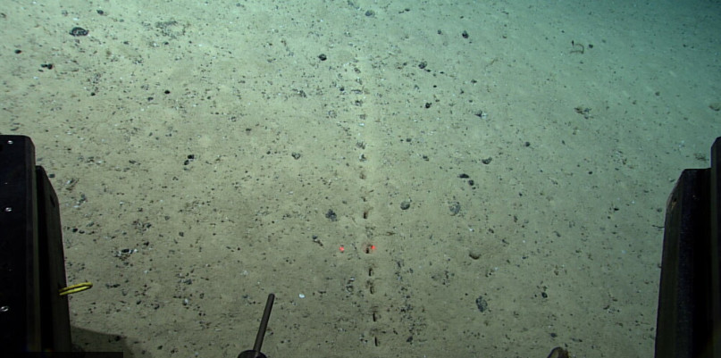NEVJEROVATNO OTKRIĆE Naučnici zbunjeni misterioznim rupama otkrivenim na dnu okeana