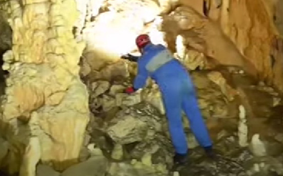 ZBOG NEMARA U Đalovića pećini uginulo oko 100 različitih vrsta slijepih miševa
