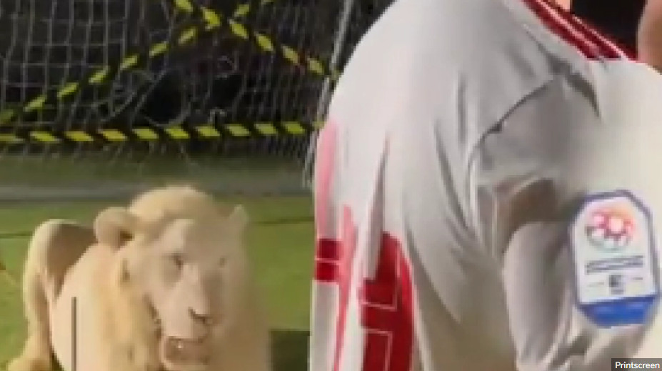 GRČKI FUDBALER SE ZALEDIO OD STRAHA Na promociji u novom klubu dočekao ga lav! (VIDEO)