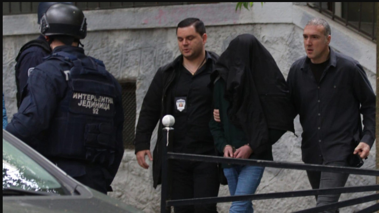 Vlada Srbije: U „Vladislavu Ribnikaru“ nije bilo vršnjačkog nasilja prema K.K.