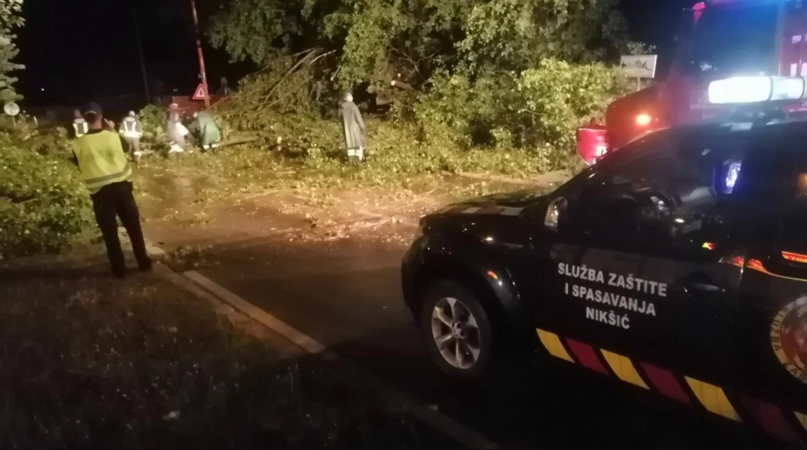 Jako nevrijeme zahvatilo Nikšić, oluja obarala stabla (VIDEO)