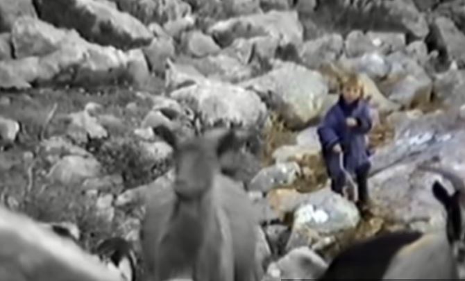 ISPLIVAO SNIMAK: Luka Modrić sa 5 godina čuva ovce okružen gladnim vukovima (VIDEO)