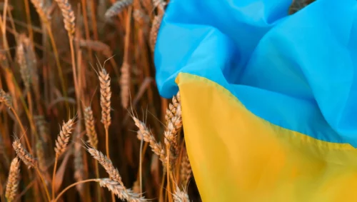 EU pozvala države srednje Evrope da ukinu embargo na uvoz ukrajinskog žita
