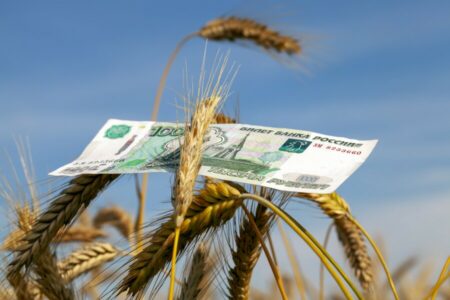 Egipat postao glavni kupac ruskog žita
