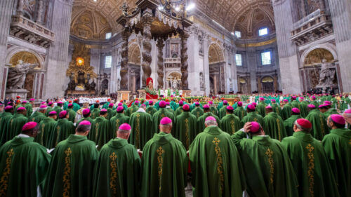 PRESEDAN Franjo dozvolio ženama da glasaju na zasijedanjima u Vatikanu