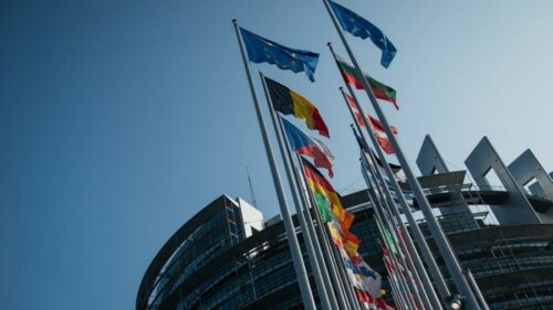 NEOBAVEZUJUĆA REZOLUCIJA Evropski parlament usvojio Piculine amandmane