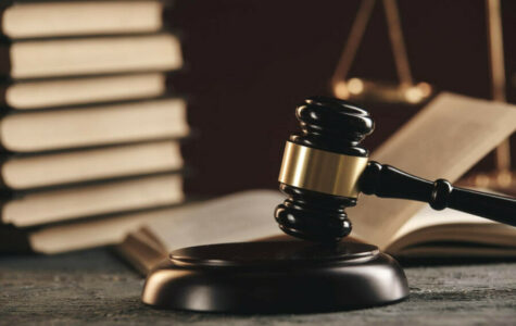 MUGOŠICA UVJERENA Odluka Apelacionog suda u predmetu „Državni udar“ kupljena
