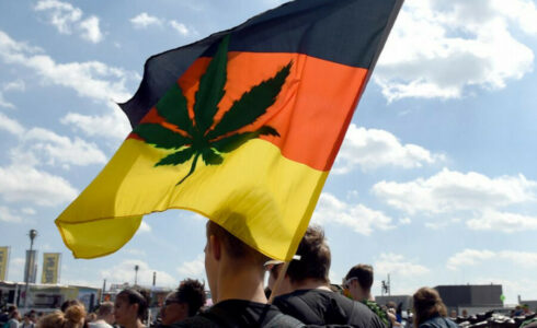 EVROPSKO DUVANJE Njemačka legalizuje uzgoj kanabisa
