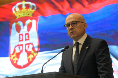 VUČEVIĆ Vlada Srbije će biti sinergija politike i struke